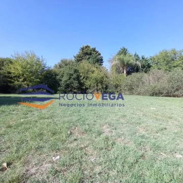 1681489467.jpg