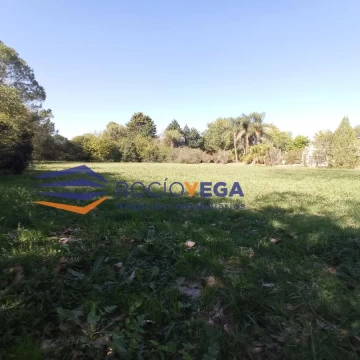 1681489468.jpg