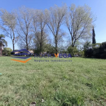 1681489468.jpg
