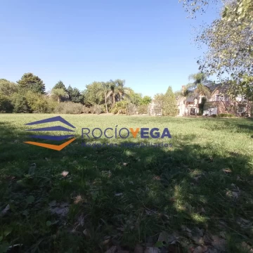 1681489469.jpg