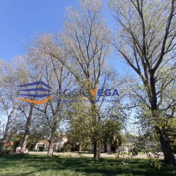 1681489470.jpg