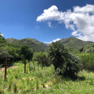 Lote en calle Las Verbenas, Los Cocos