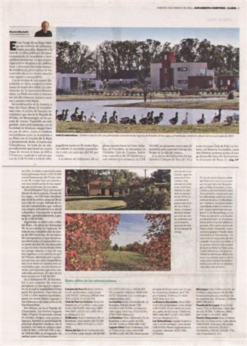 Articulo