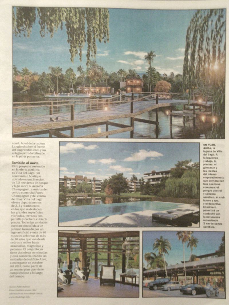 Articulo