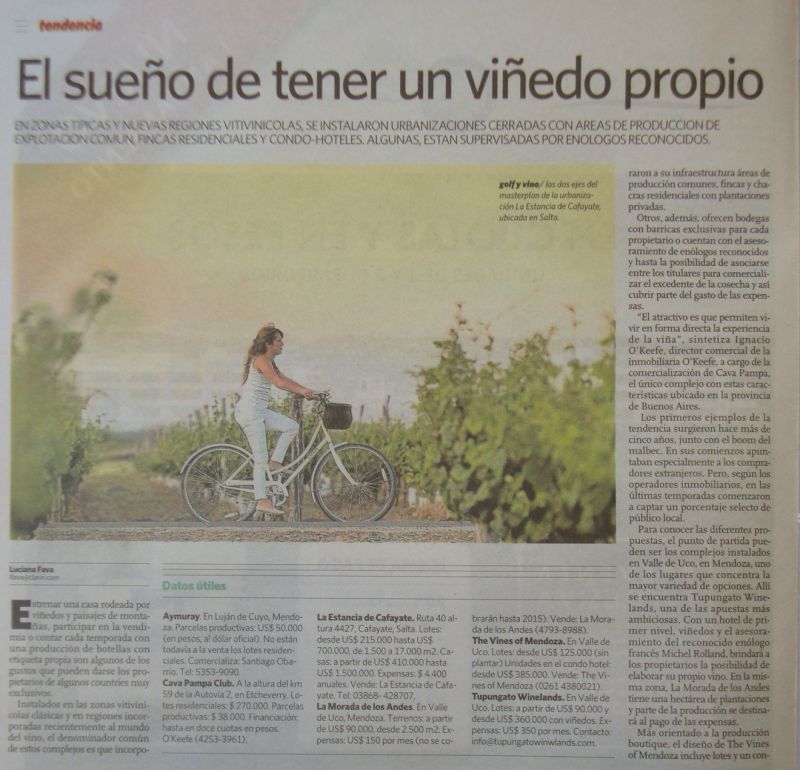 Articulo