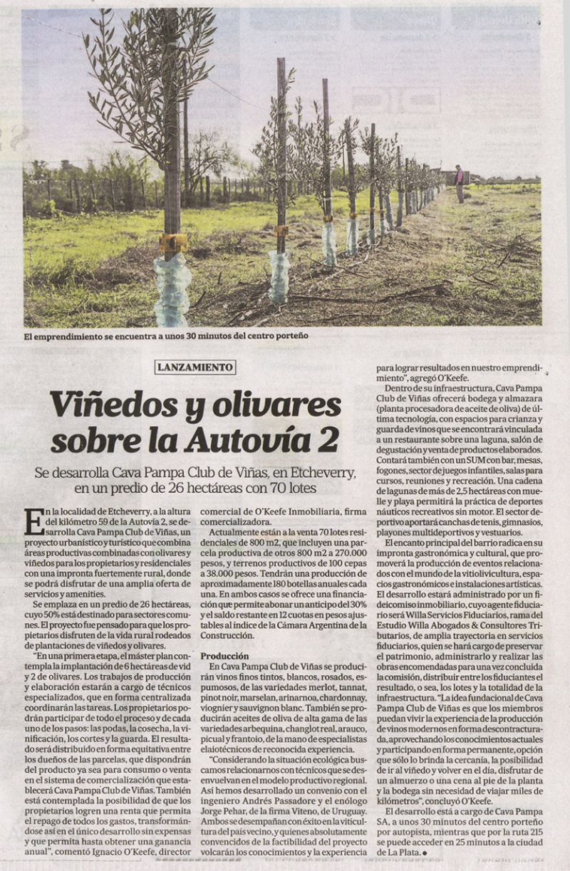 Articulo