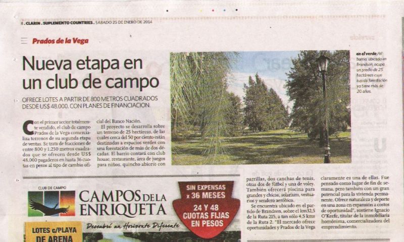 Articulo