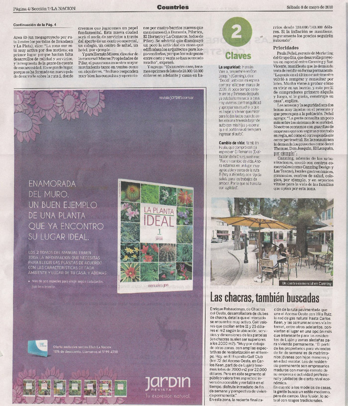 Articulo