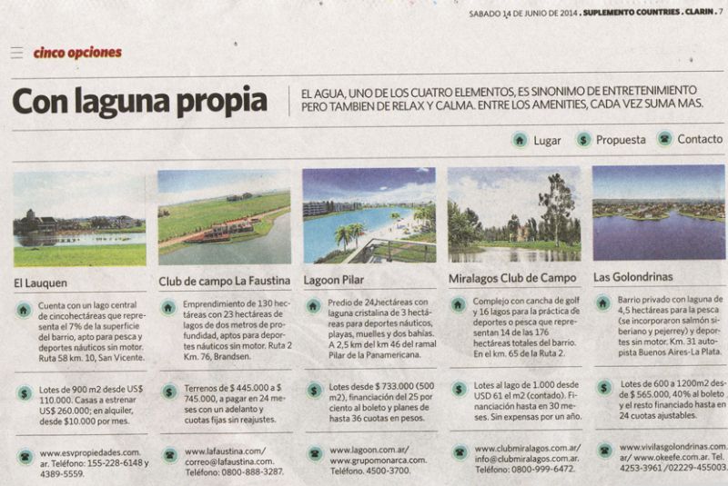 Articulo