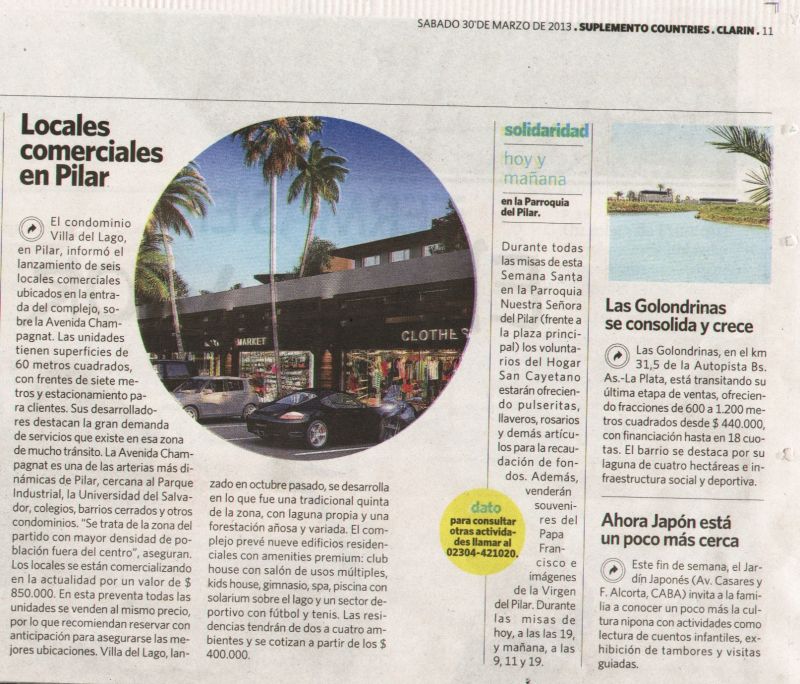 Articulo