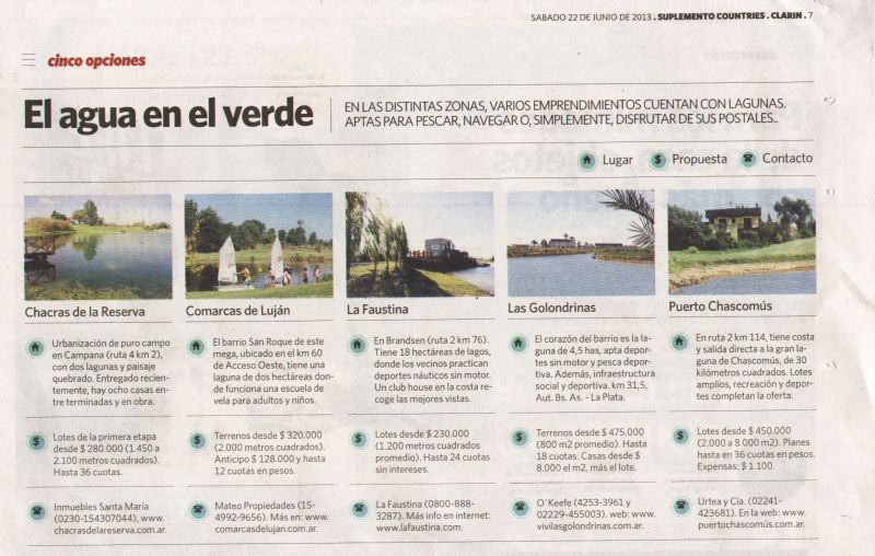Articulo