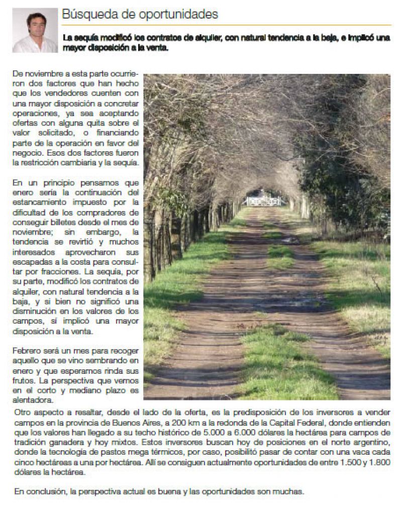 Articulo