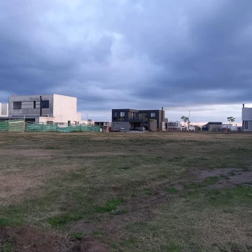 1689503078.jpg