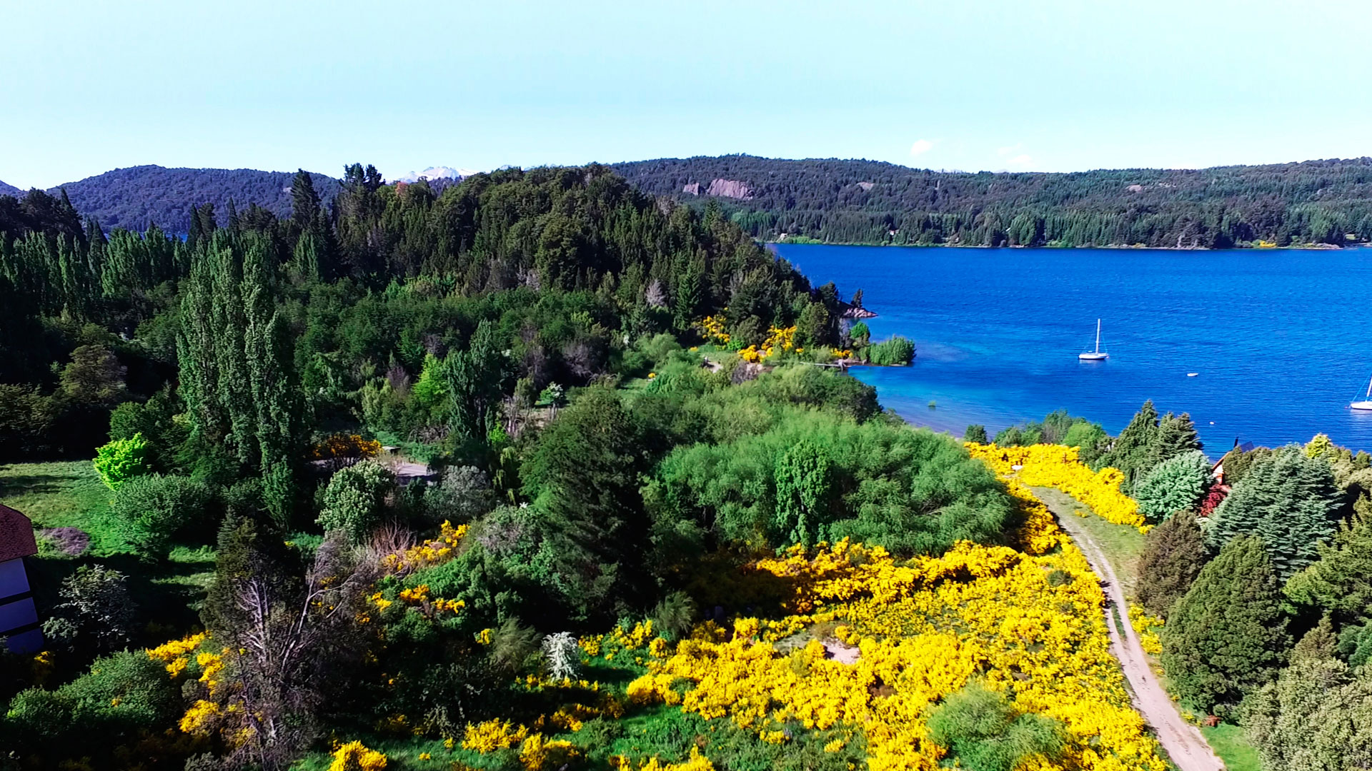 Bariloche ofrece una renta de hasta 8% anual en dólares.