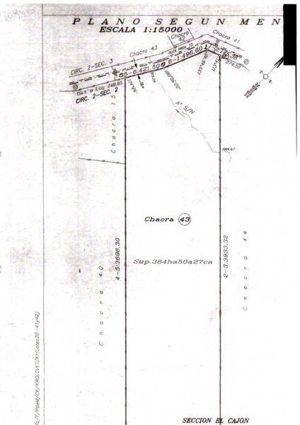 image 42