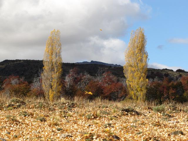 image 16