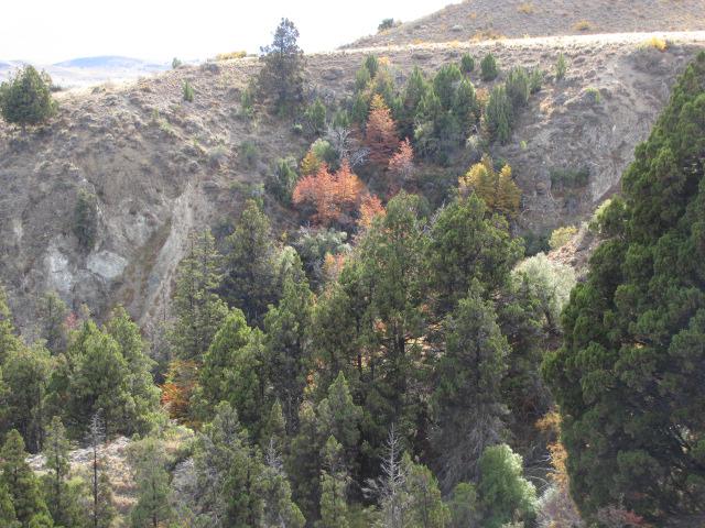 image 18