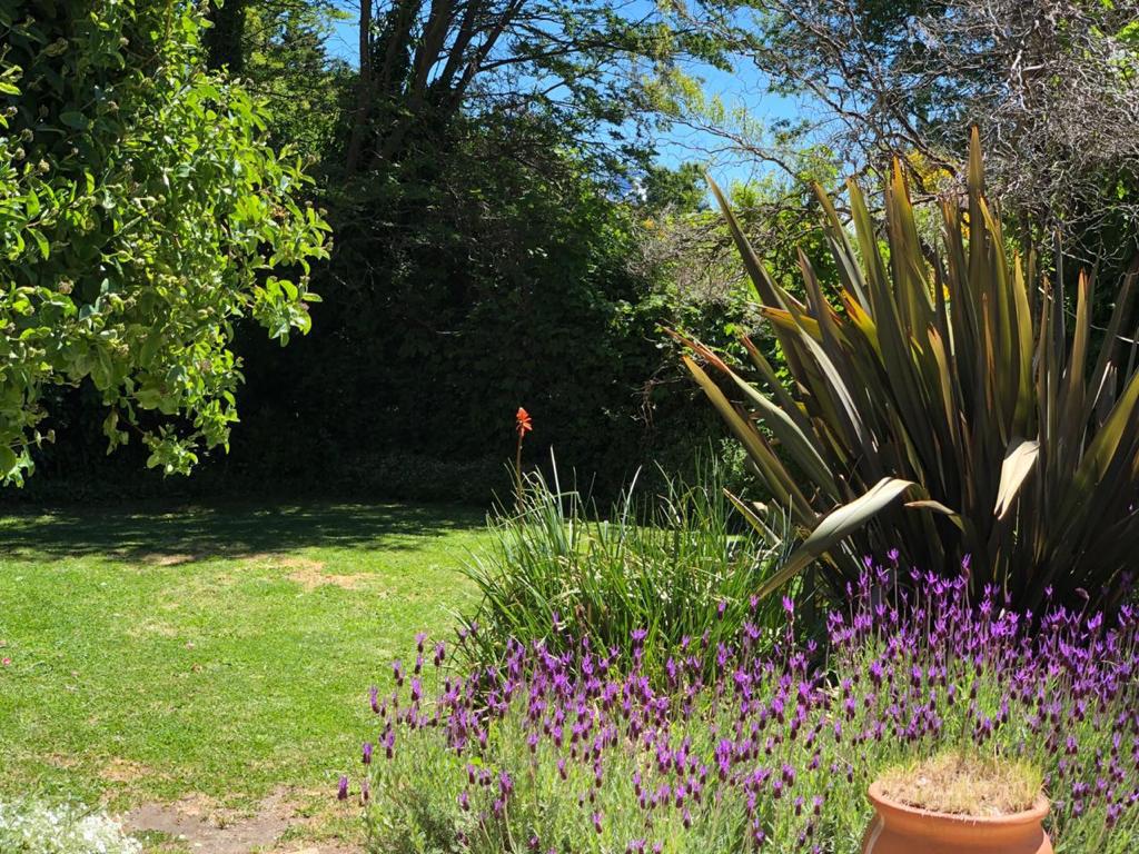 image 27