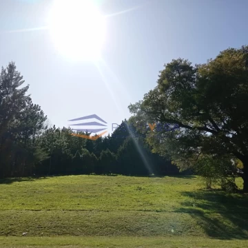 1692033863.jpg