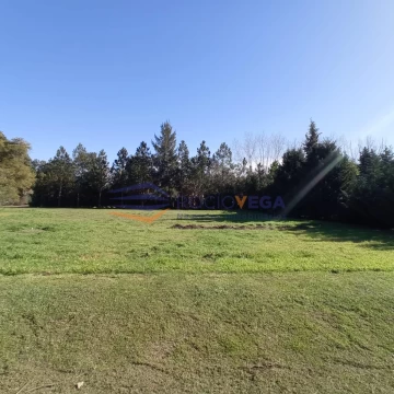 1692033863.jpg