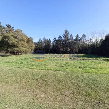1692033864.jpg