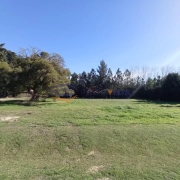 1692033864.jpg