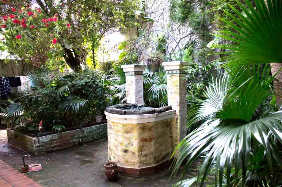image 14