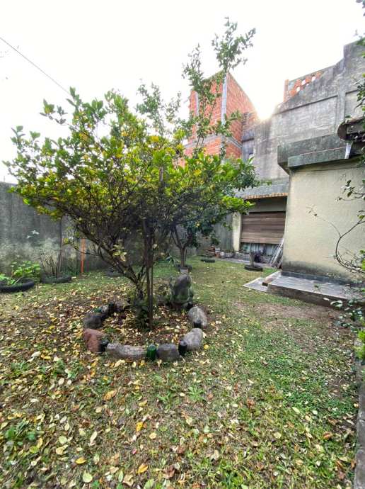 image 45
