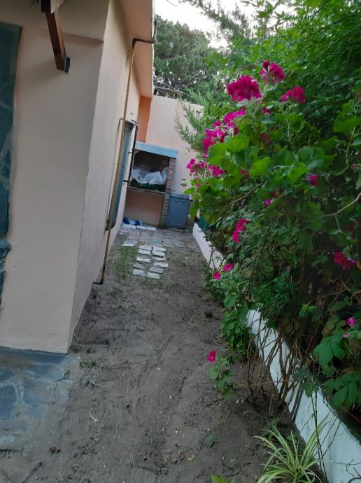 image 33