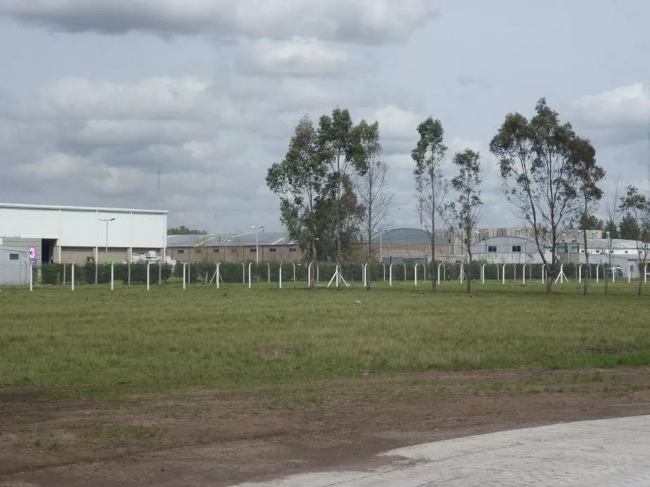 image 8