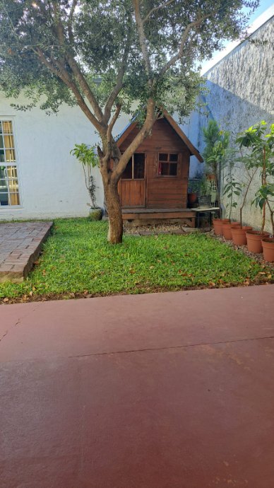 image 14