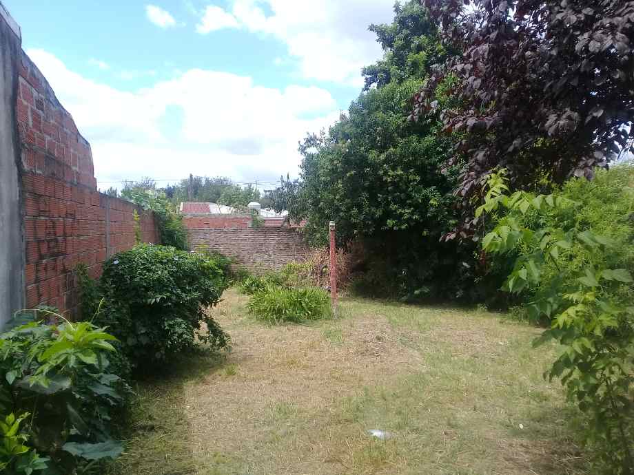 image 13