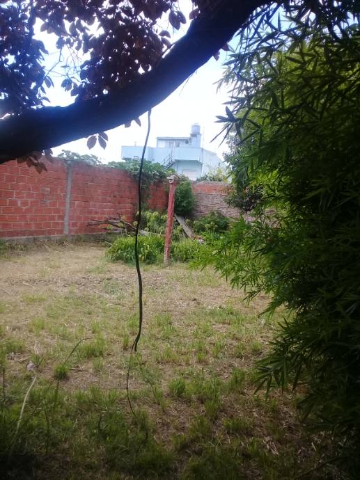image 14