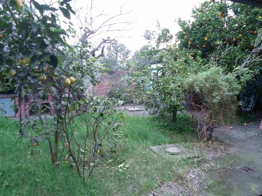 image 13