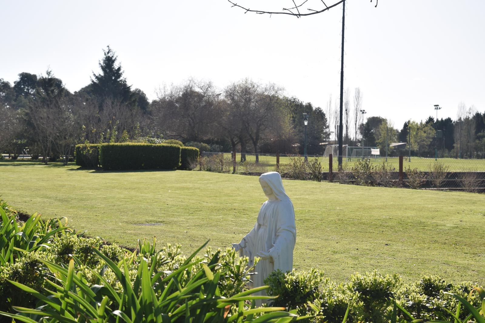 image 15