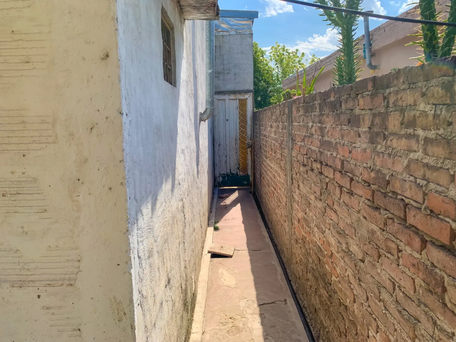 image 14
