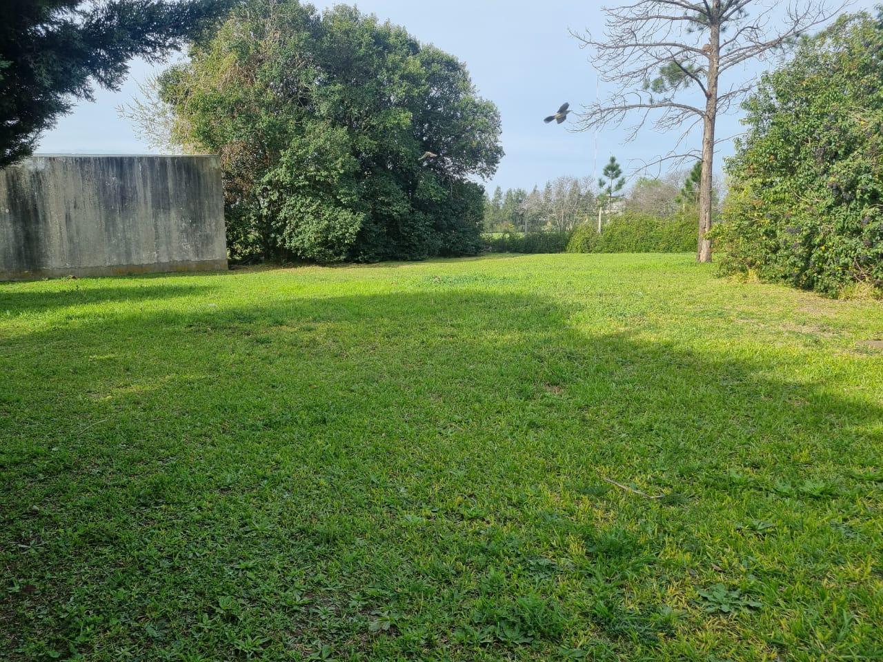 image 14