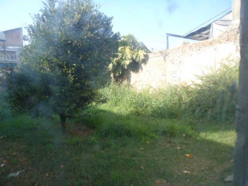 image 15