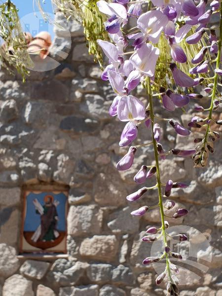 image 16