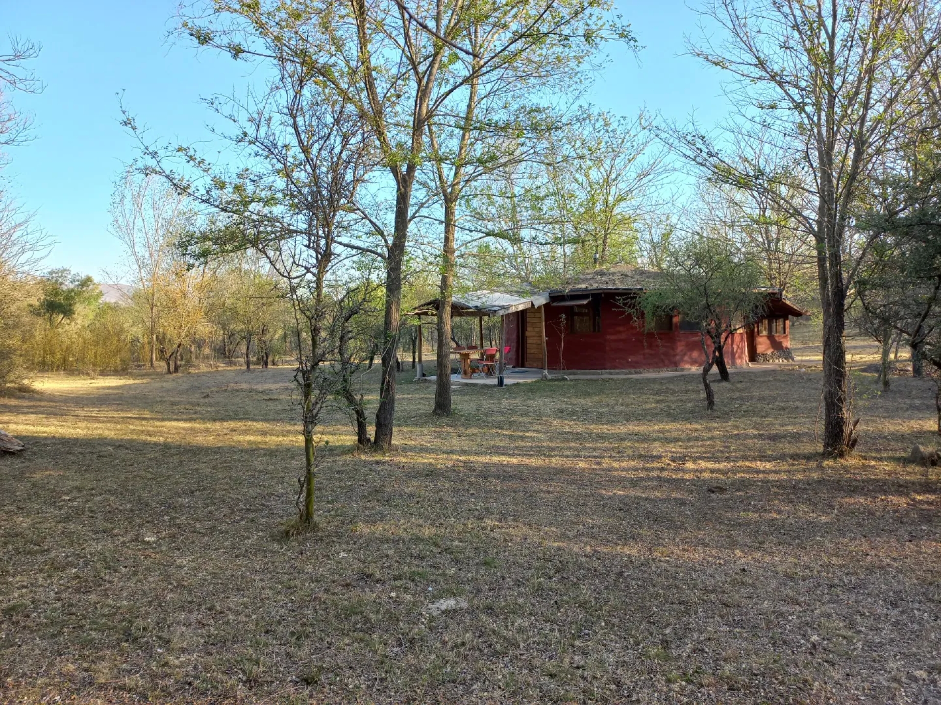 image 31