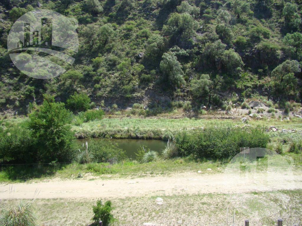 image 48