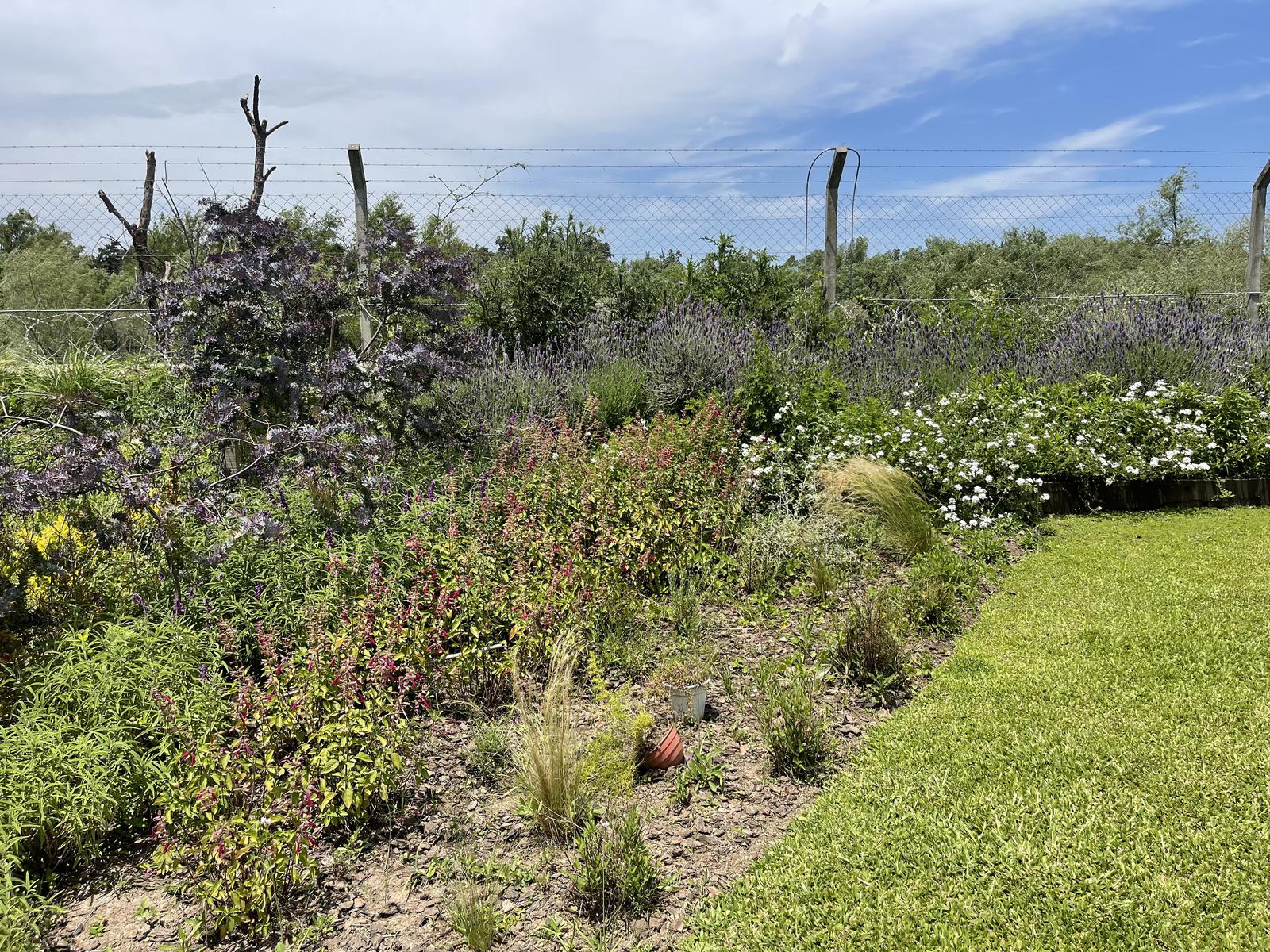 image 30