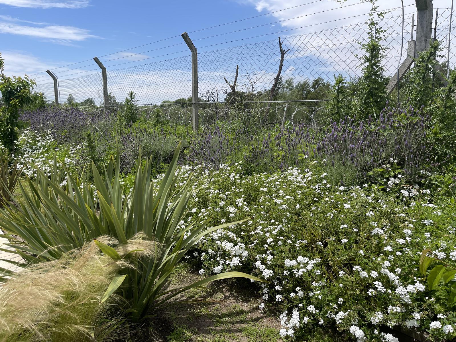 image 32