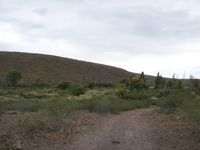 image 13