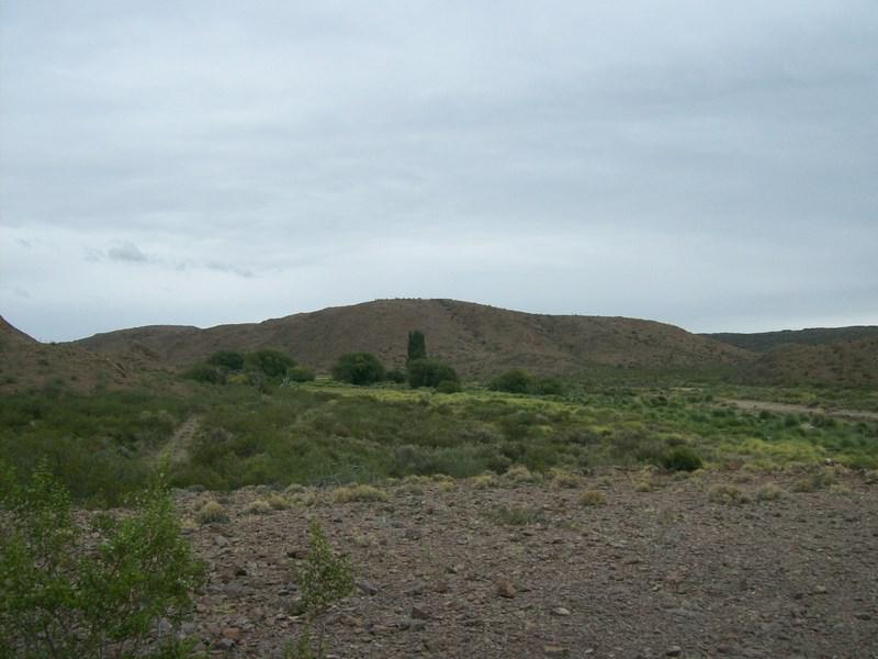 image 16