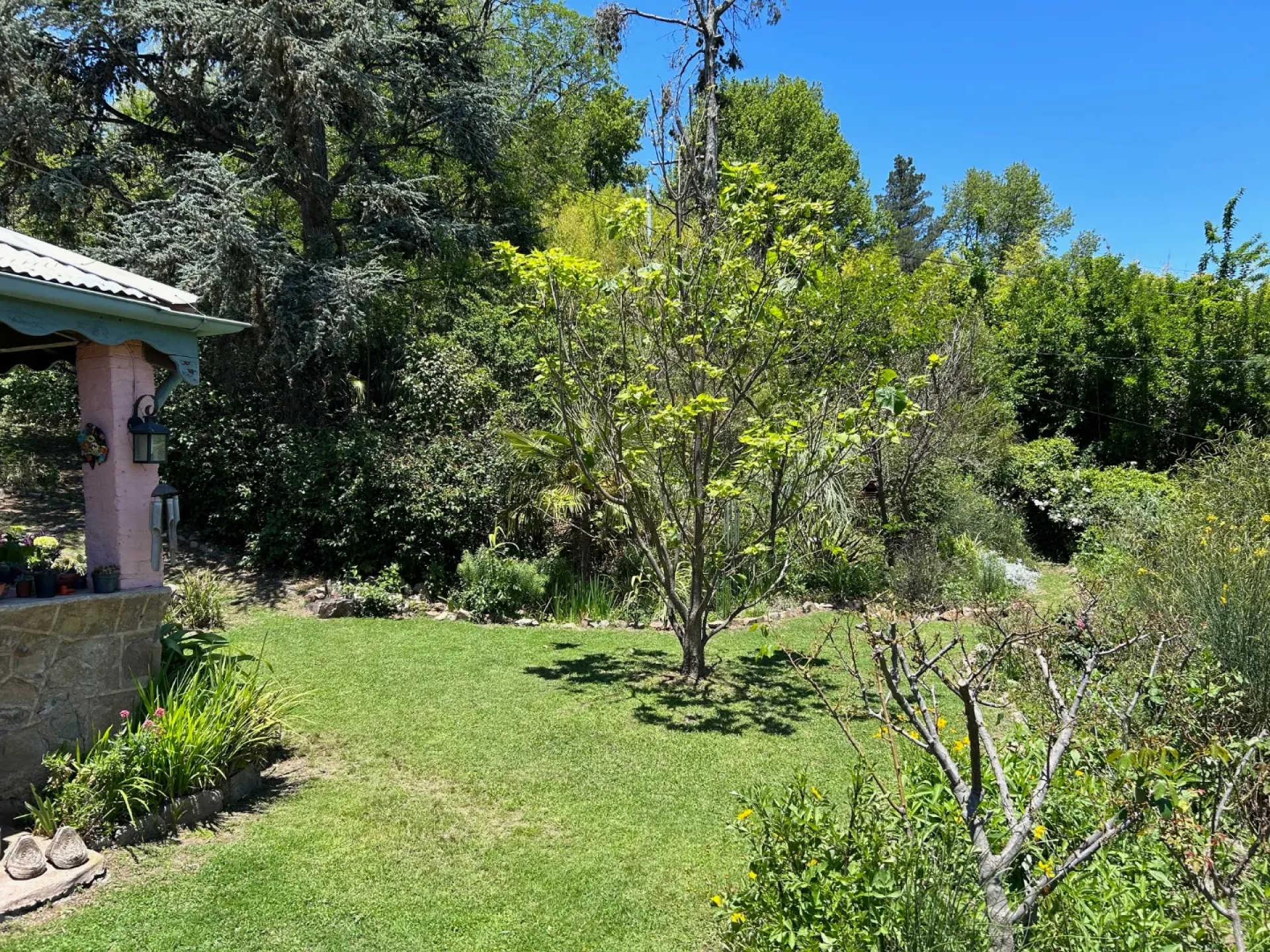 image 30