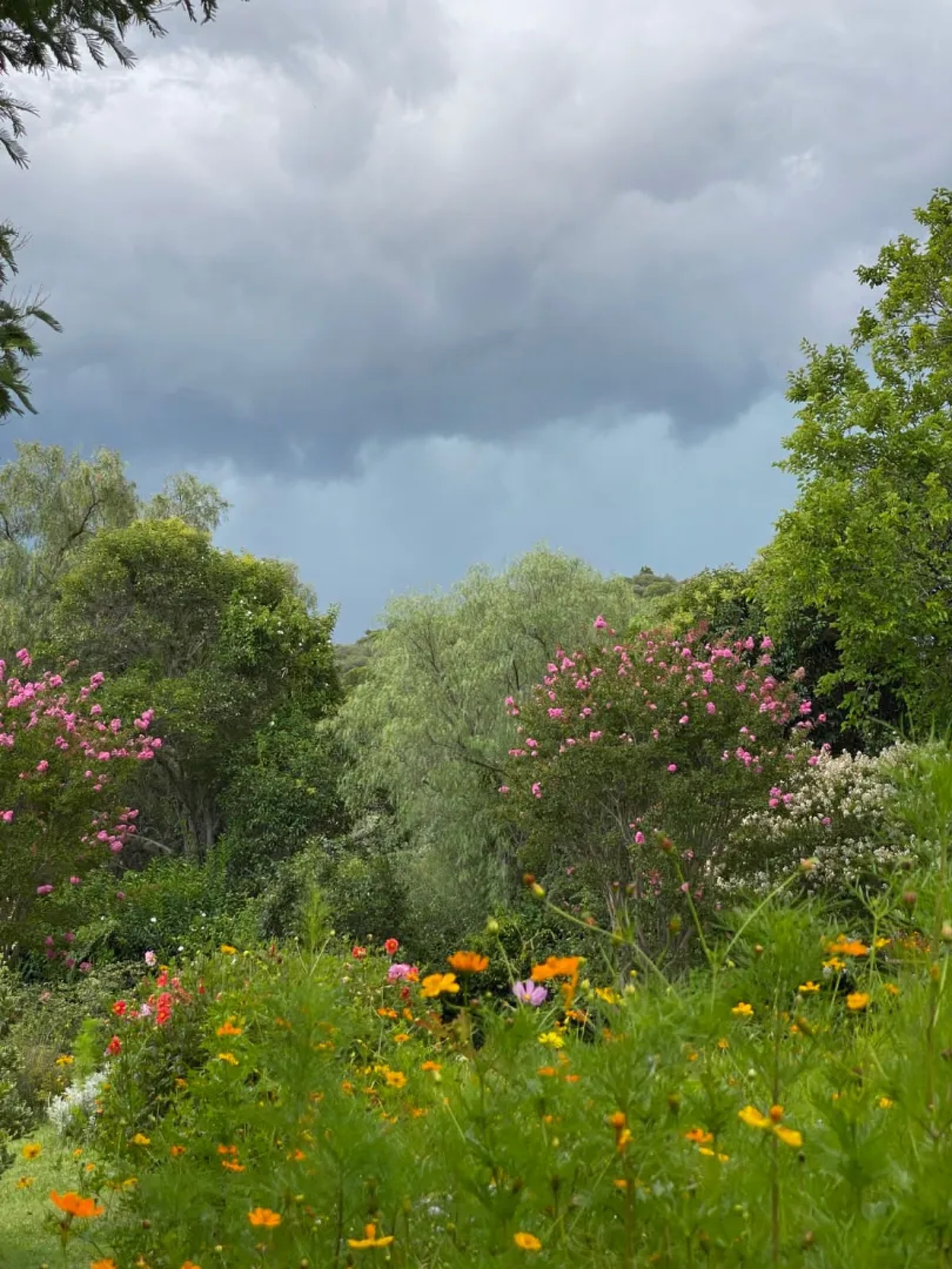 image 32