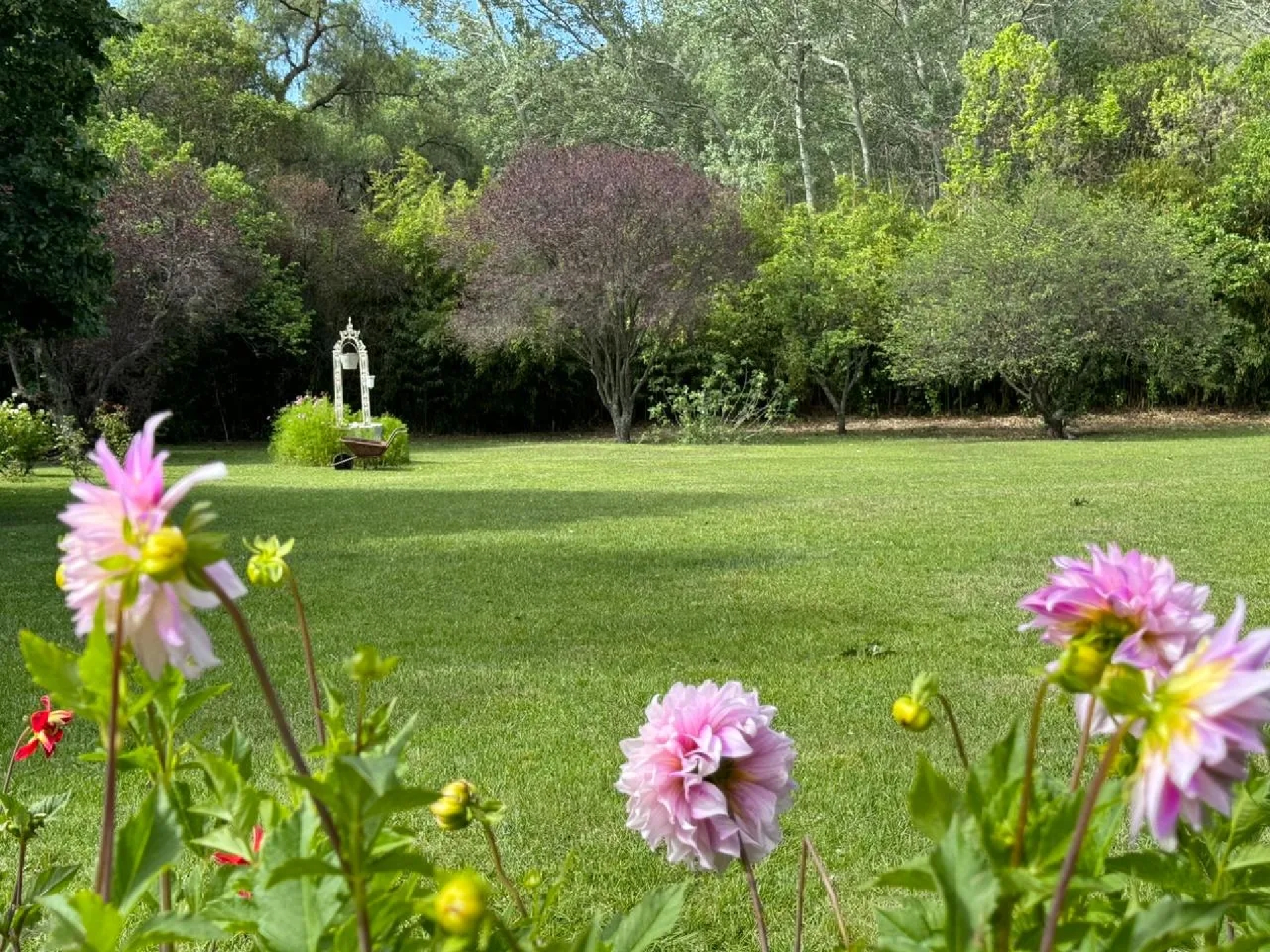 image 30