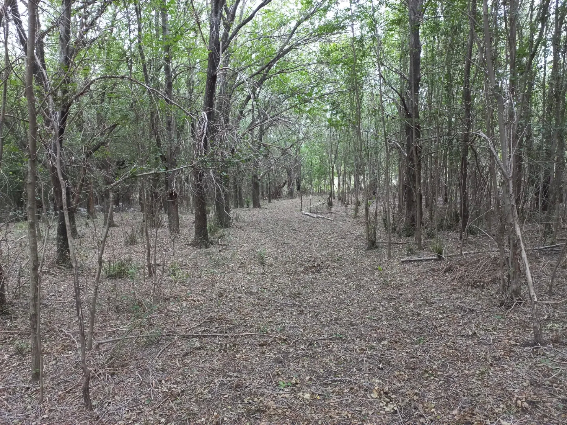 image 14