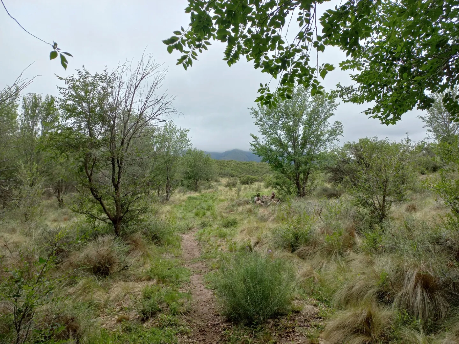 image 13